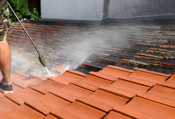 Best Concrete Pressure Washing  in Monongahela, PA